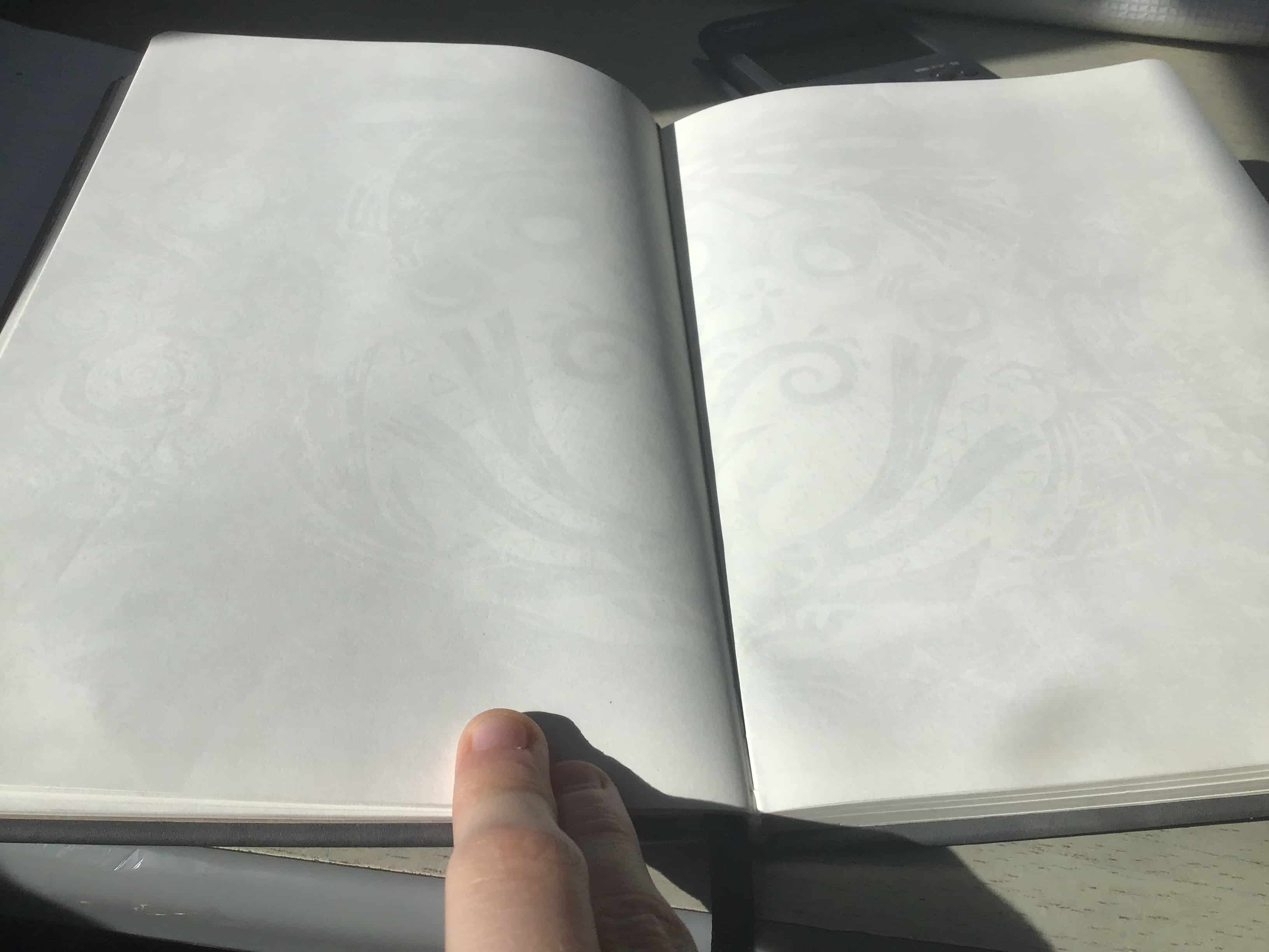 an image of the blank pages